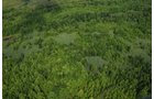 Property photo 12 - 1,025 Acres in 24 Tracts - Exellent Recreation Opportunity - Potential Building Sites - 11 Lakes & Ponds